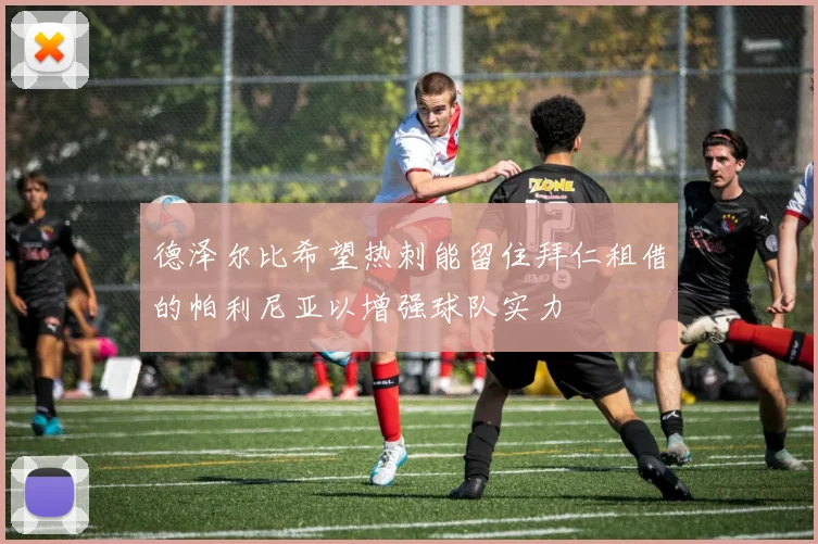 德泽尔比希望热刺能留住拜仁租借的帕利尼亚以增强球队实力
