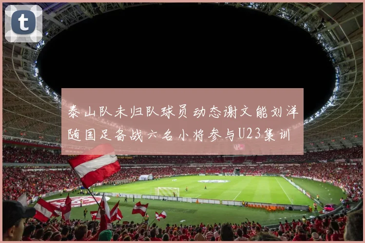 泰山队未归队球员动态谢文能刘洋随国足备战六名小将参与U23集训