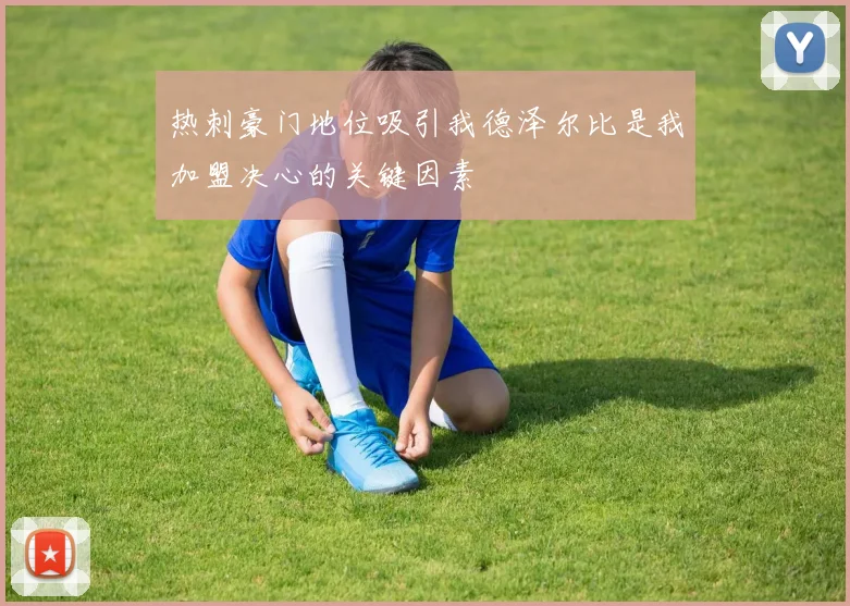 热刺豪门地位吸引我德泽尔比是我加盟决心的关键因素